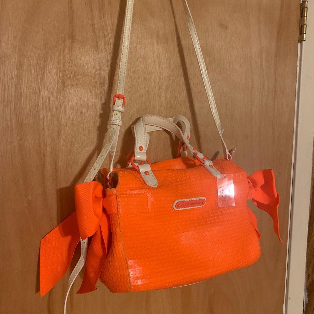 Juicy Couture Purse